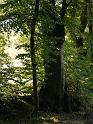 Brunnenrunde (26)